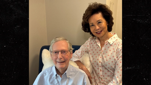 sub mitch mcconnell elaine chao