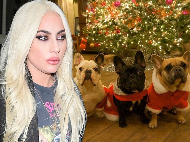 lady gaga and dogs getty insta 2