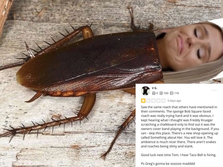 raquel leviss cockroach