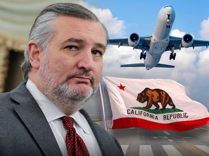 ted cruz fly california main getty