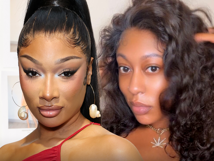 Megan Thee Stallion's Court Rival Says She Can't Afford to Pay $75K Owed