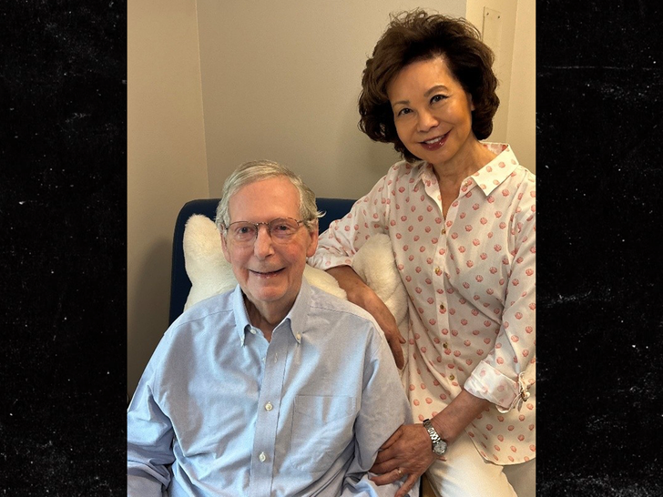 sub mitch mcconnell elaine chao