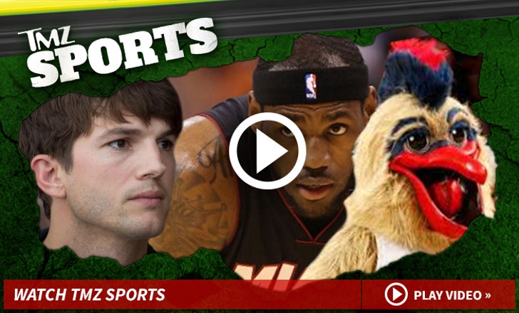 TMZ Sports Show Ashton Kutcher -- Jiu-Jitsu Badass :: 0213-watch-tmz-sports-2