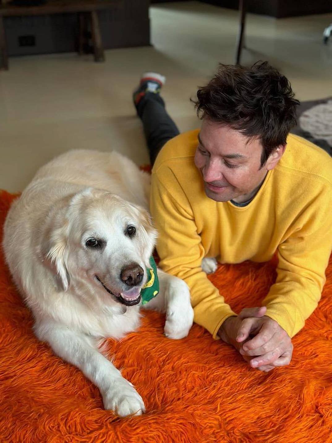 Jimmy Fallon Dog 0
