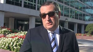 Ted Cruz Suggests Anonymous New York Times Op-Ed Author is Probably a Democrat