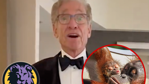 Maury Povich