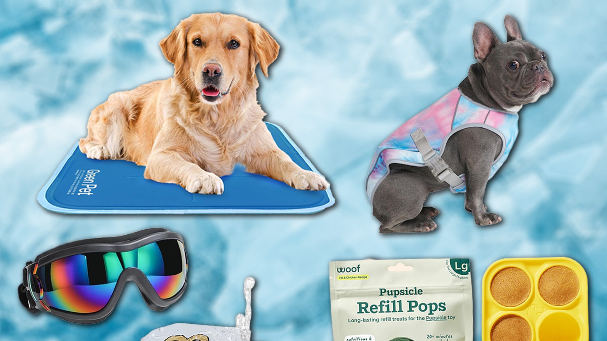 Summer Pet Essentials on Amazon