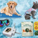 Amazon-Pet-Summer-Essentials-PRIMARY