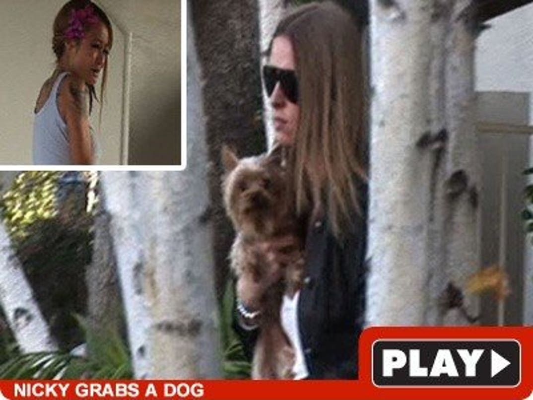 Tila Tequila -- I Agreed to Give Back Dogs