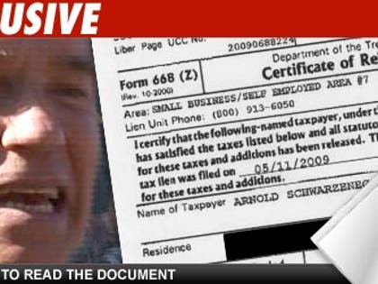 Arnold Schwarzenegger: Click to launch