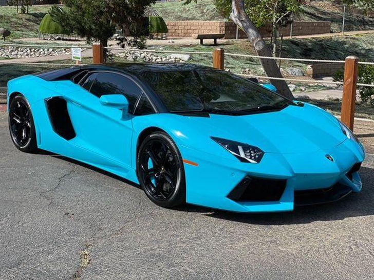 Chris Brown's Lamborghini For Sale