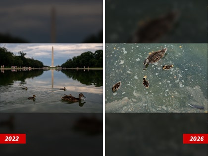 washington dc reflecting pool 2022 and 2026 comparison getty 1