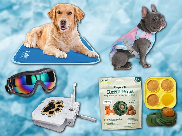 Amazon-Pet-Summer-Essentials-PRIMARY