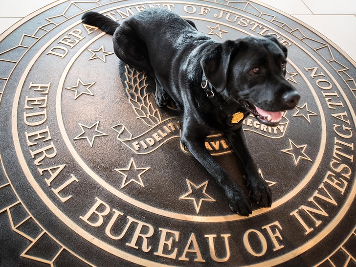 FBI K-9 dog getty
