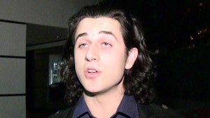 'Wizards of Waverly Place' Star David Henrie Avoids Jail in Airport Gun Case
