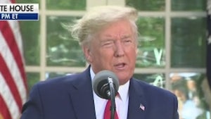 Trump Assures America His Hair Is Real at Coronavirus Briefing