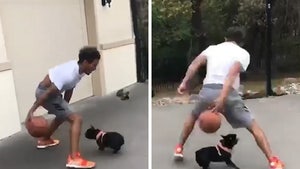 Trae Young Crosses Up Cute Dog In Hilarious Driveway Vid