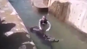 Man Jumps in Zoo Bear Enclosure, Tries Drowning Animal