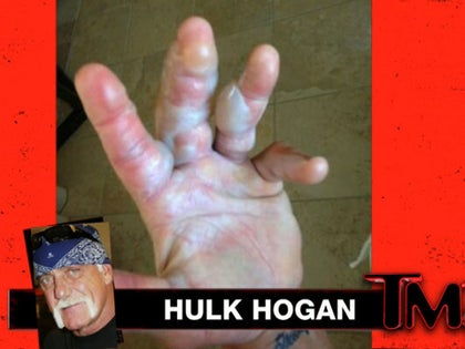 052813_hulk_hogan_tmzlive_primary