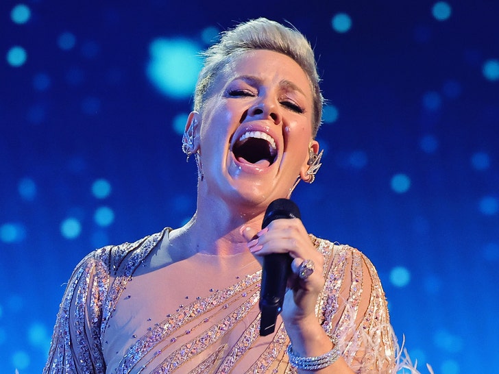 P!nk Performance Pics