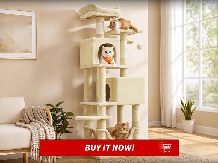 Feandrea-Cat-Tree-International-Cat-Day-MAIN