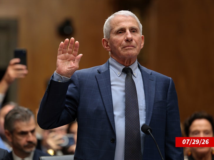 anthony fauci in court getty 2