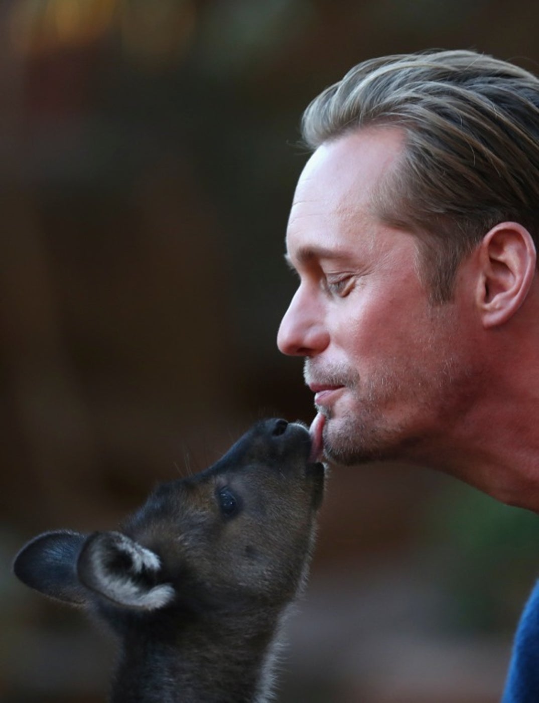 Alexander Skarsgard Kisses A Kangaroo!