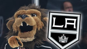 L.A. Kings Suspend Mascot 'Bailey' After Sexual Harassment Allegations