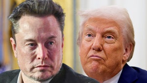 elon musk donald trump main getty