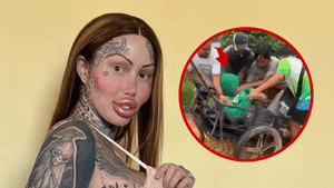 121725_mary_magdalene_carted_away_primary_v3