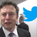 Elon Musk's $44 billion Twitter deal temporarily on hold, stock tanks