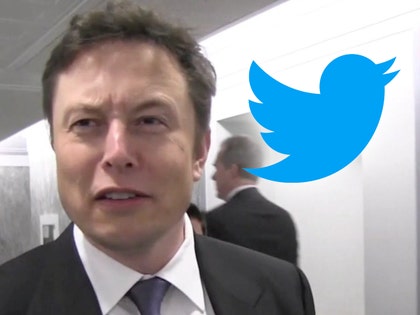 0513-elon musk twitter