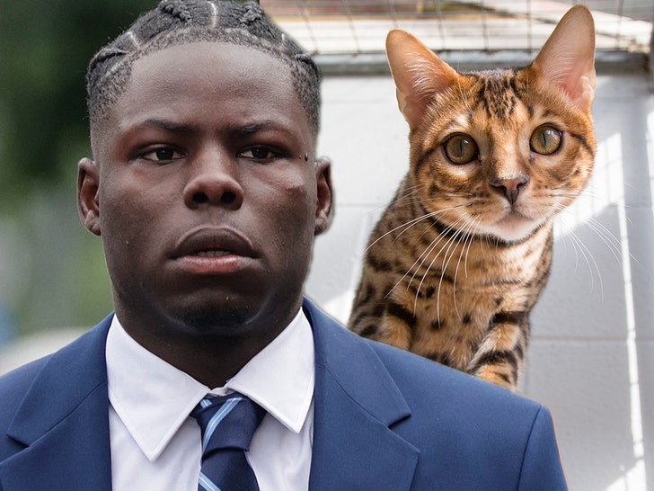 Futbol Yıldızı Kurt Zouma, Kediyi Tekmeleyip Tokatlamaktan Suçlu Olduğunu İtiraf Etti