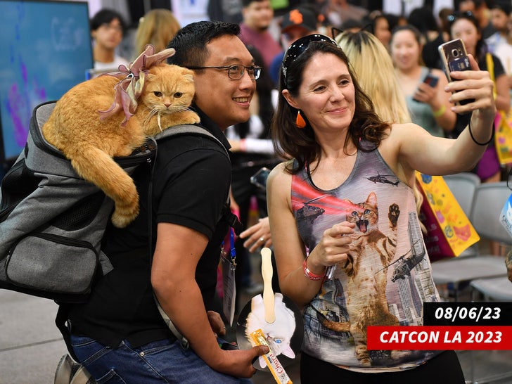 sottotitolo catcon los angeles