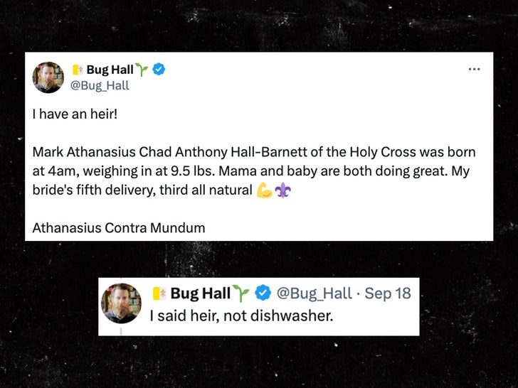 092124 bug cinza tweets sub