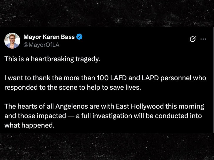 karen bass twitter car crash sub
