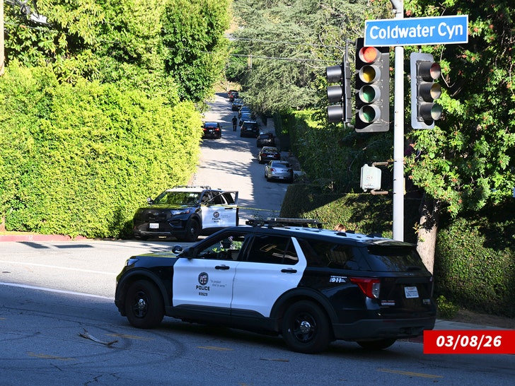 police outside rihannas home getty 2