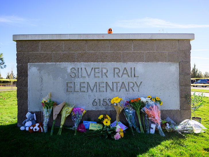 silver-rail-school-getty-1