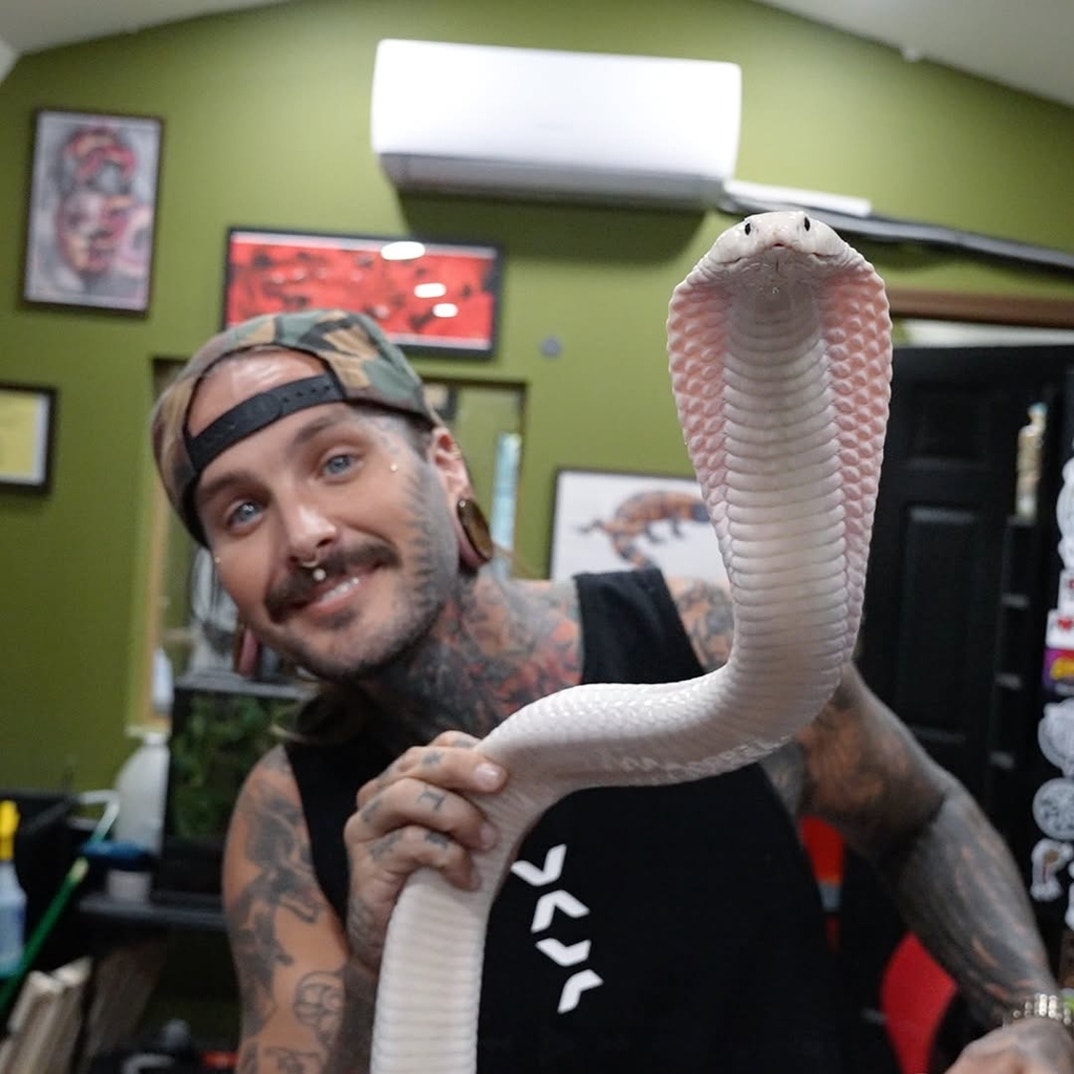 Tyler Noal Through The Years 7