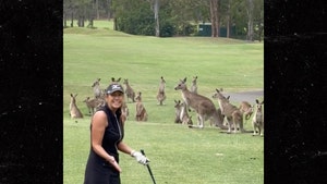 Australian Golfer's Tee Shot Interrupted By Mob Of Kangaroos On Course