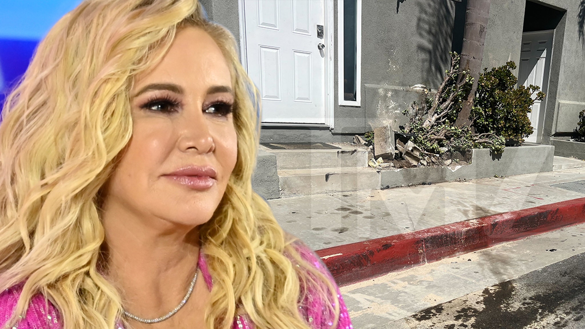 Shannon Beador Offers To Pay For Damaged Property Following DUI