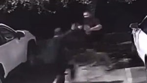 Former MMA Fighter Body Slams Man Attacking Him with Knife in Miami