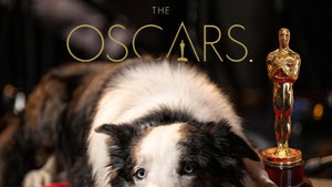 'Anatomy of a Fall' Dog Cameo at Luncheon Pissed Off Oscar Contenders