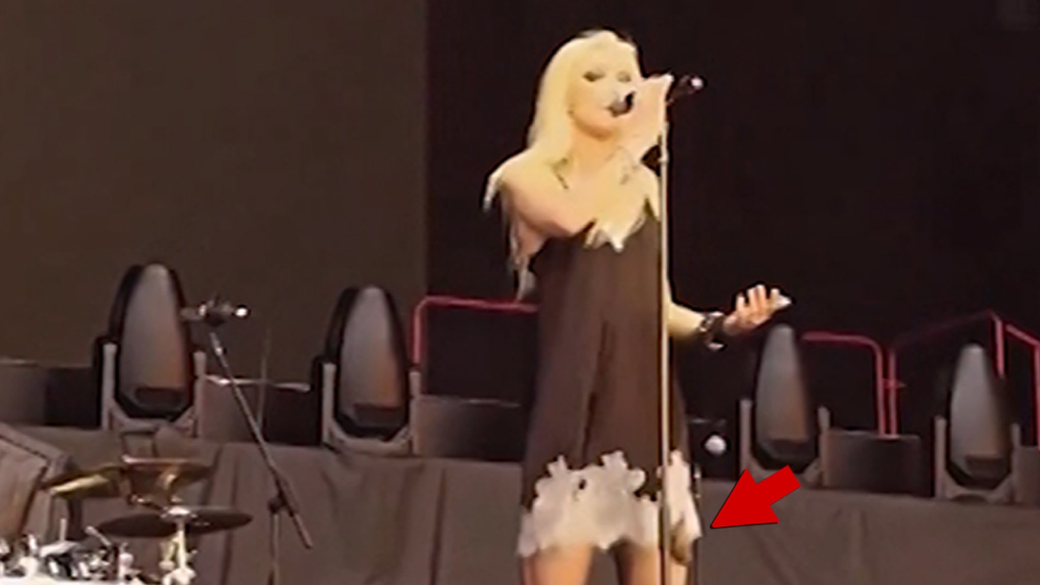 Bintang Gossip Girl Taylor Momsen digigit Pat di atas panggung dan menerima suntikan rabies