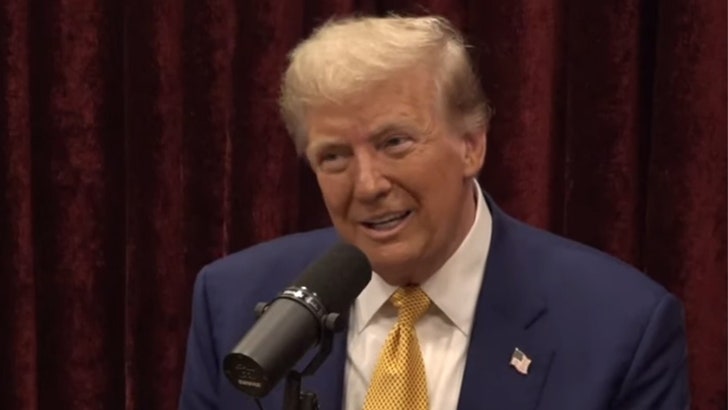 Donald Trump Pesters Joe Rogan for Endorsement On Podcast