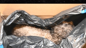 epstein files dead dog Department of Justice sub