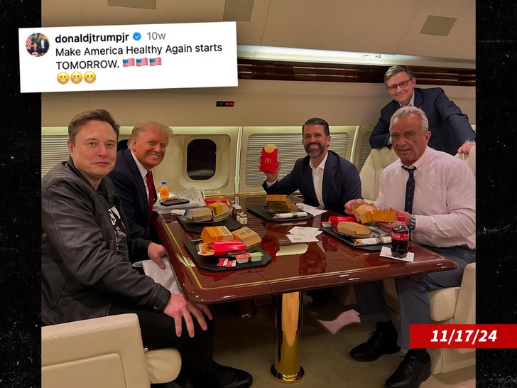 RFK Jr Donald Trump Elon Musk Donald Trump Jr McDonalds IG