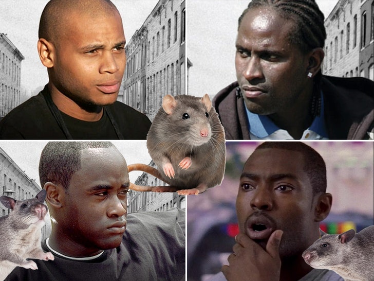 wire cast rats