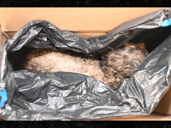 epstein files dead dog Department of Justice sub