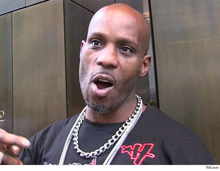 Dmx I Need Out Of House Arrest To Feed My Kids